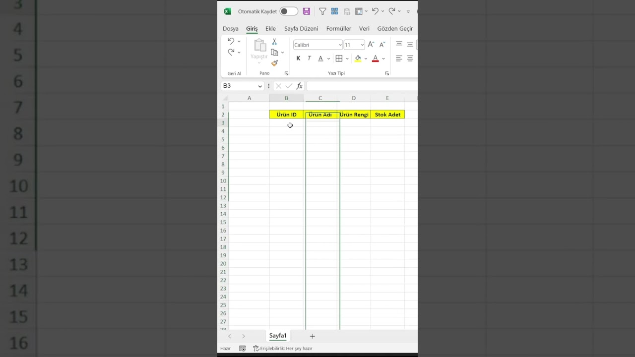 Excel&rsquo;de yaşanan b&uuml;y&uuml;k dertlerden biri! B&uuml;y&uuml;k verili h&uuml;crelere kısayoldan kenarlık ekleme