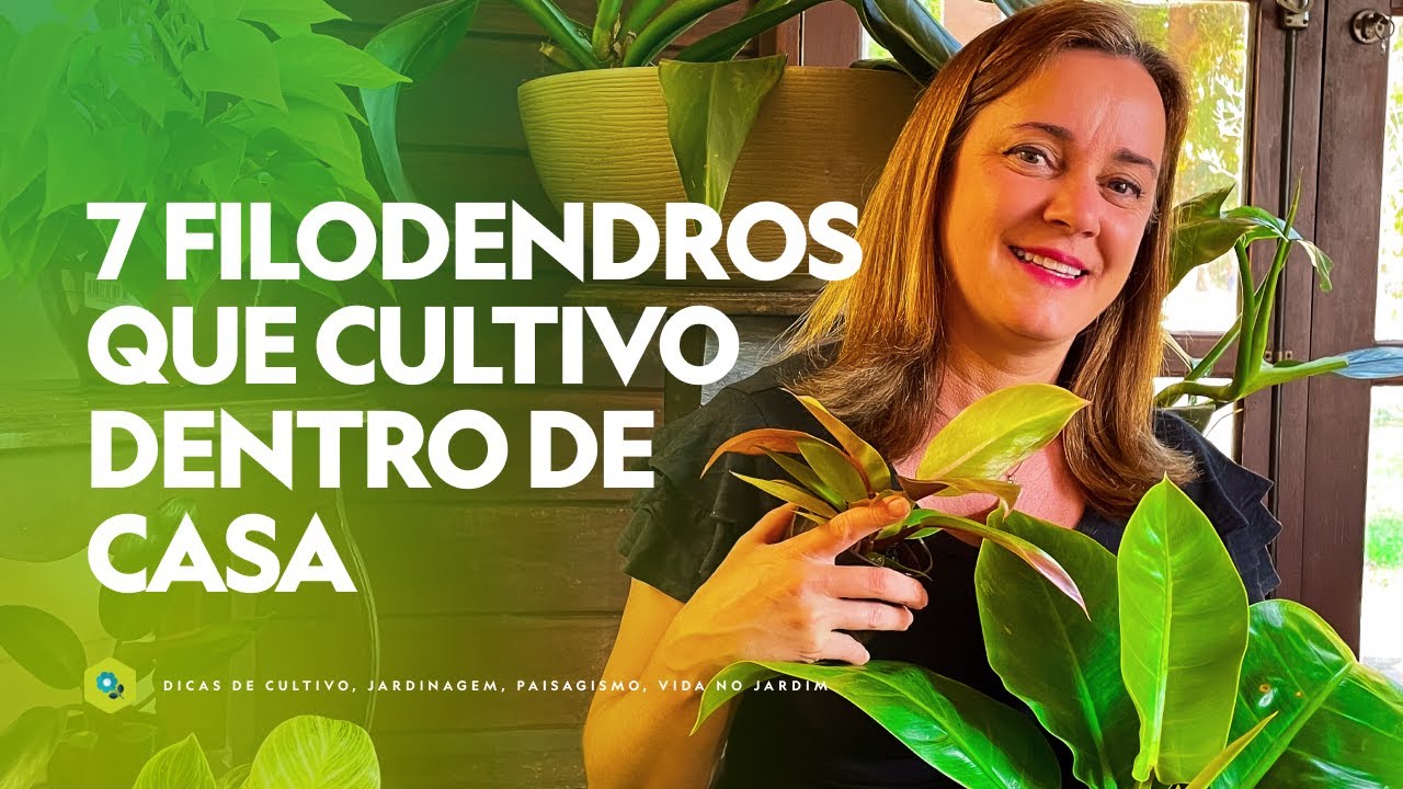 7 FILODENDROS que CULTIVO DENTRO de CASA