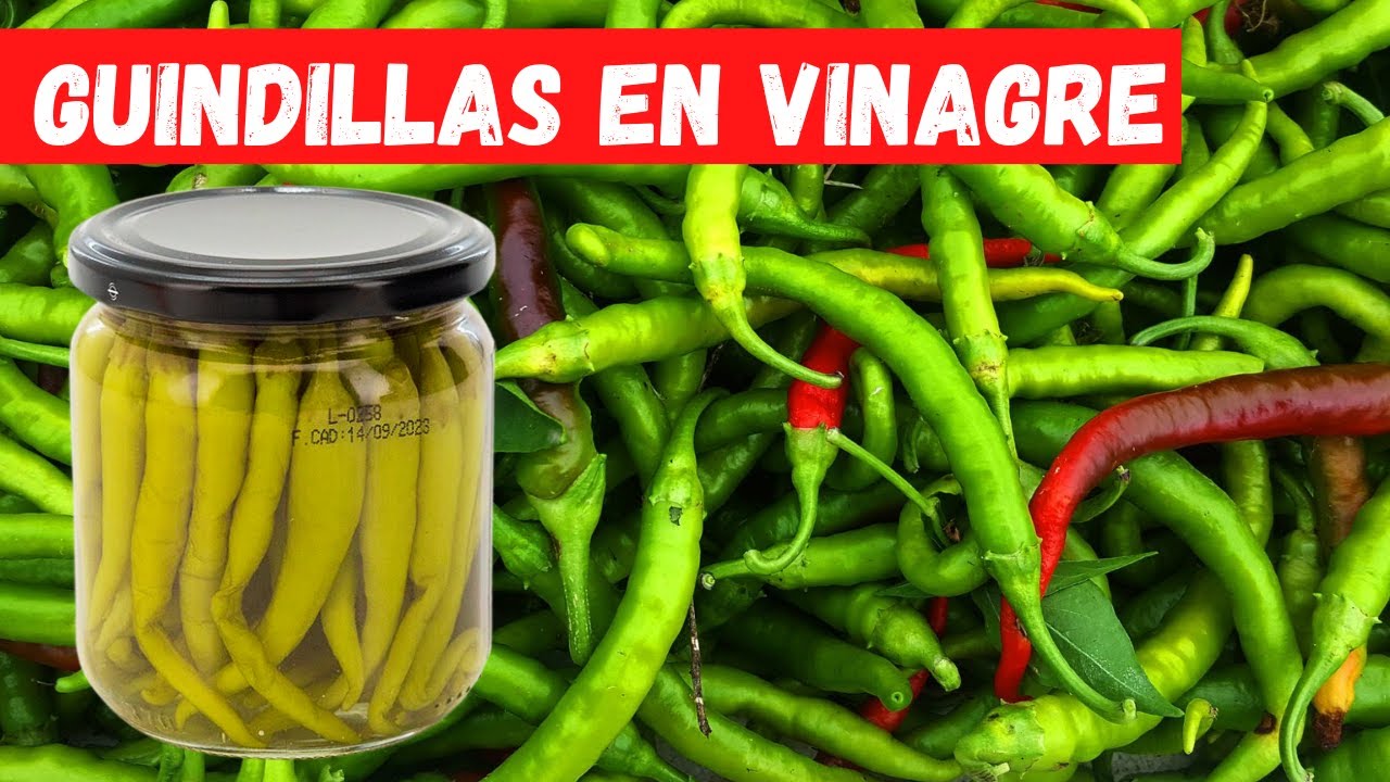 🟢 LA MEJOR RECETA de GUINDILLAS en VINAGRE. CONSERVA CHILES por M&Aacute;S TIEMPO