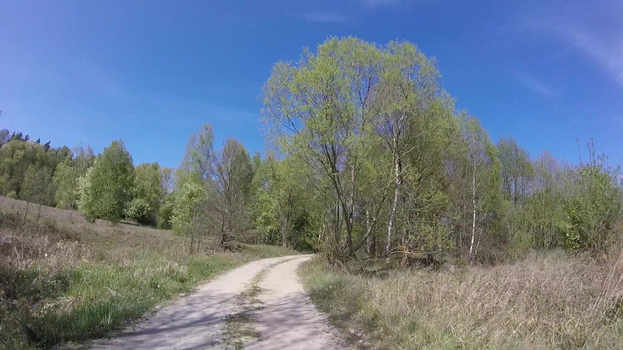 Bieniec