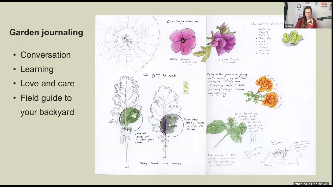 Garden Visitors in your Nature Journal with Bethan Burton