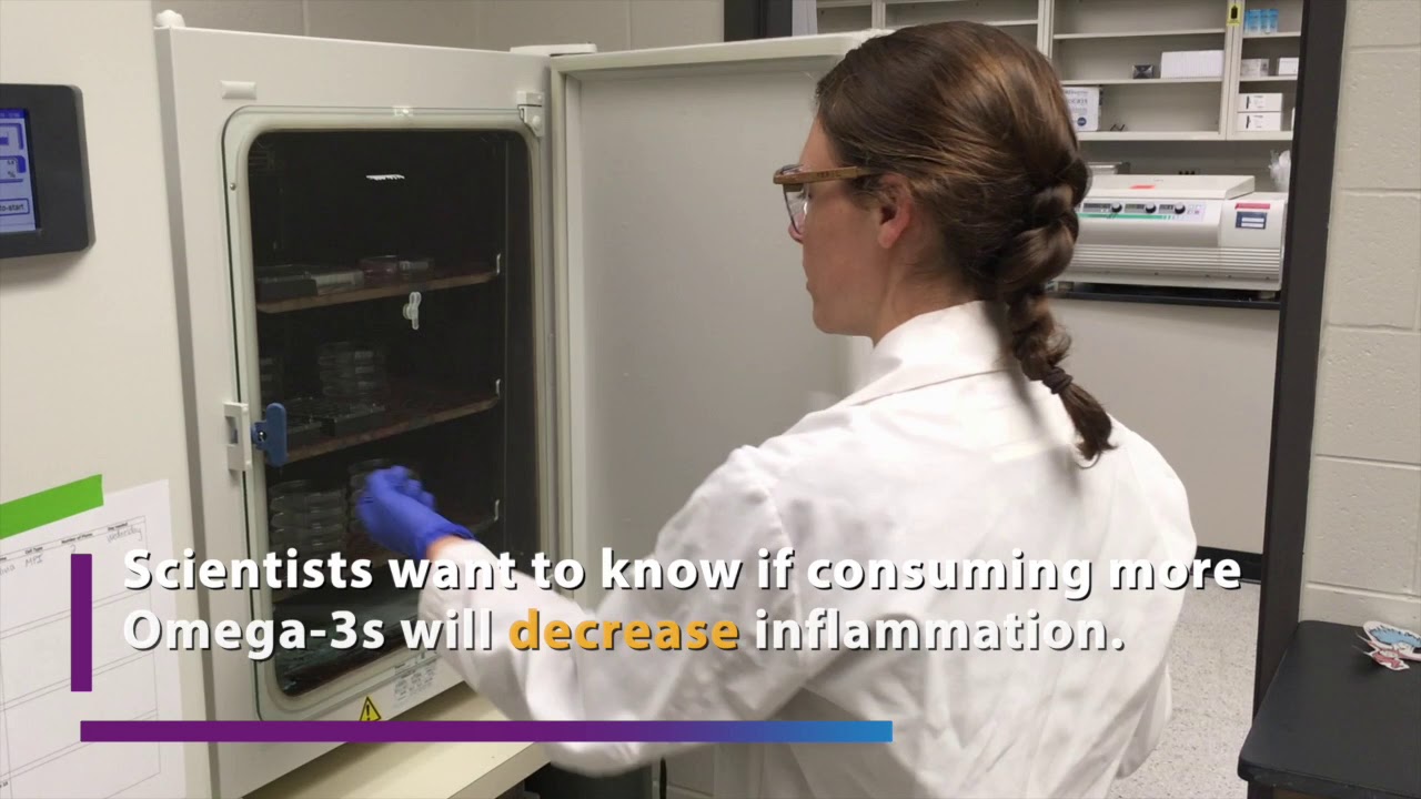 Lupus Research on Omega-3 Fatty Acids to Combat Inflammation