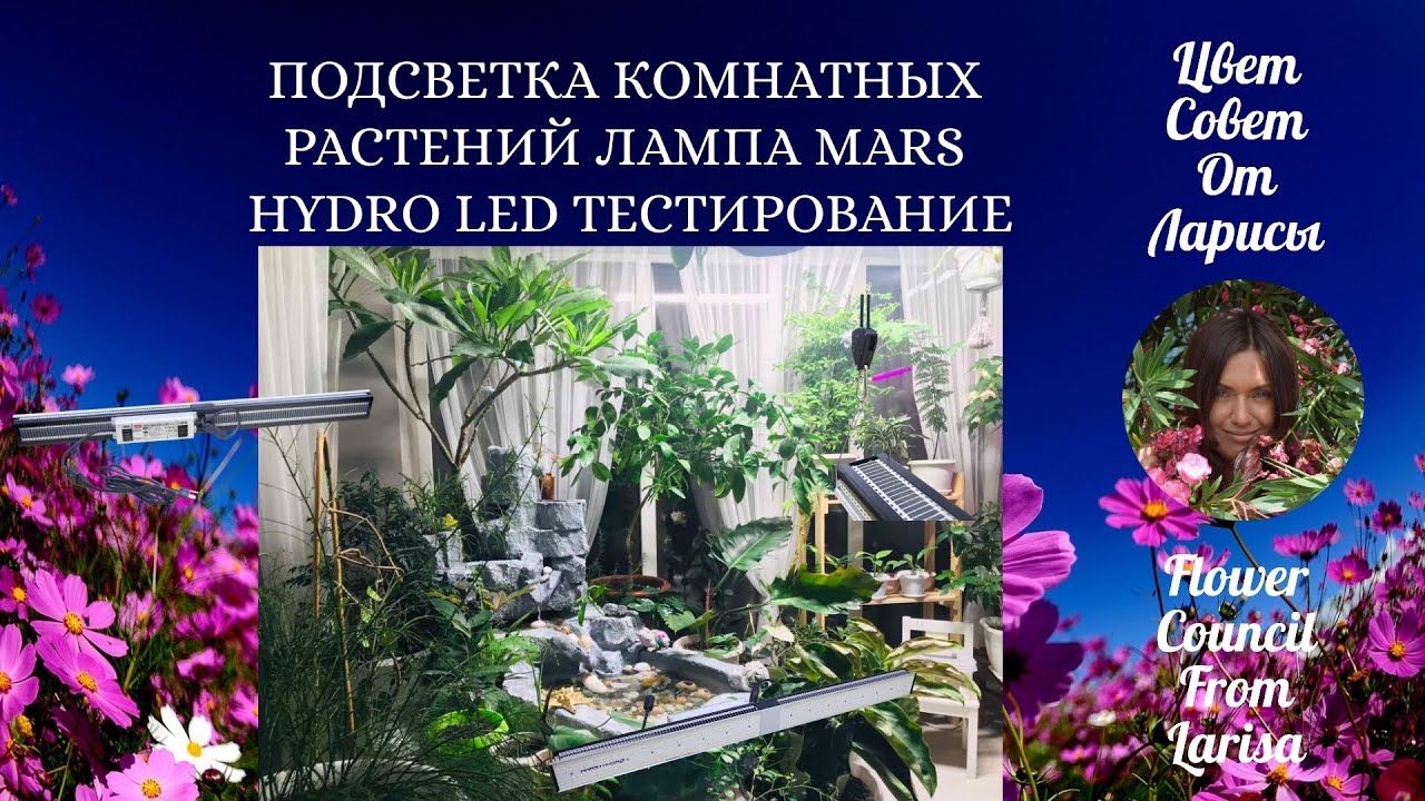 ПОДСВЕТКА КОМНАТНЫХ РАСТЕНИЙ | ЛАМПА MARS HYDRO LED ТЕСТИРОВАНИЕ 4К