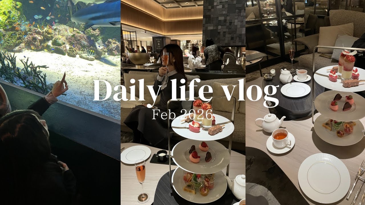 vlog | インターコンチネンタル東京ベイアフタヌーンティー🫖 | マクセル アクアパーク品川🐬 | 雪の日の記録⛄️❄️