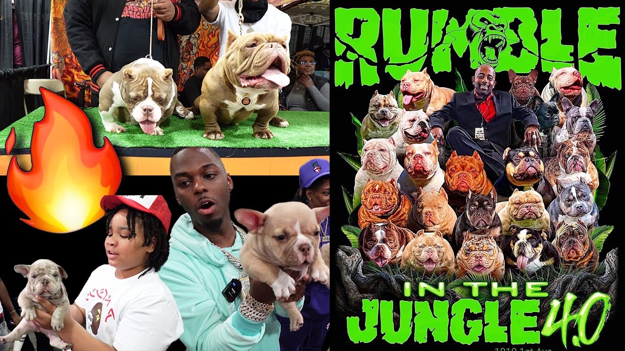 RUMBLE IN THE JUNGLE 4 0 UNCENSORD!! (BULLY SHOW)