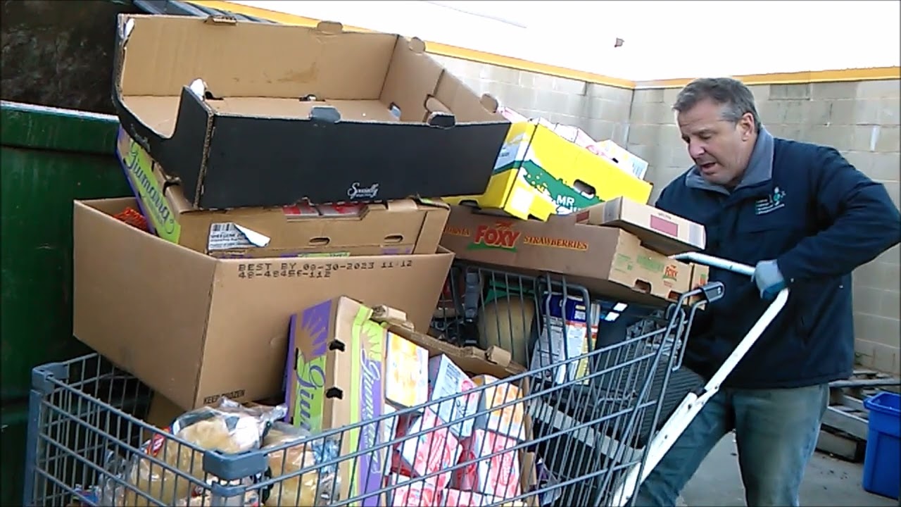 DAILY GROCERY RUN ~ DUMPSTER DIVING AT ALDI!