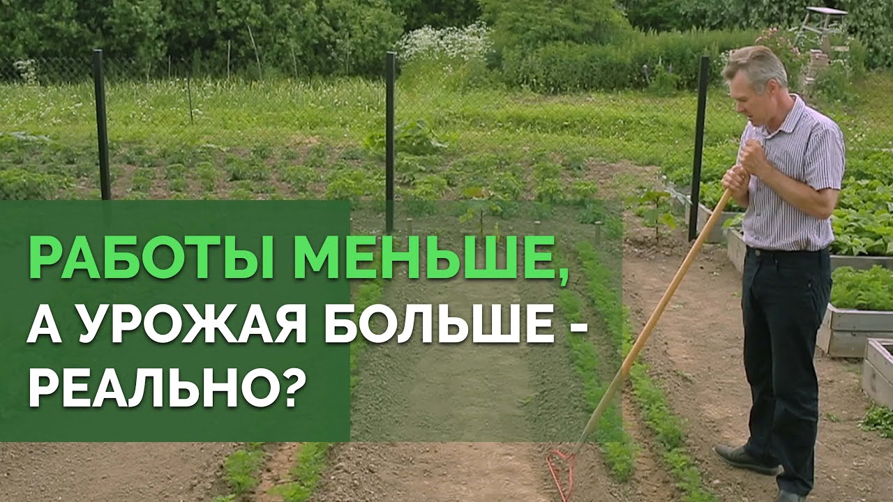 Овощи на узких грядках и в грядках-ящиках | Технология изобилия