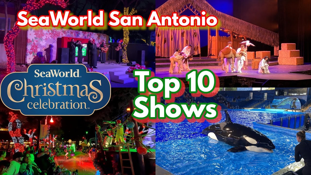 Топ-10 шоу на рождественском празднике | SeaWorld Сан-Антонио (2025)