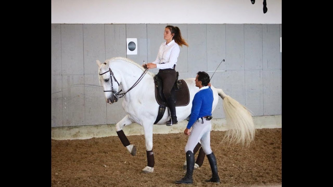 Dressage Lesson//Manolo Oliva