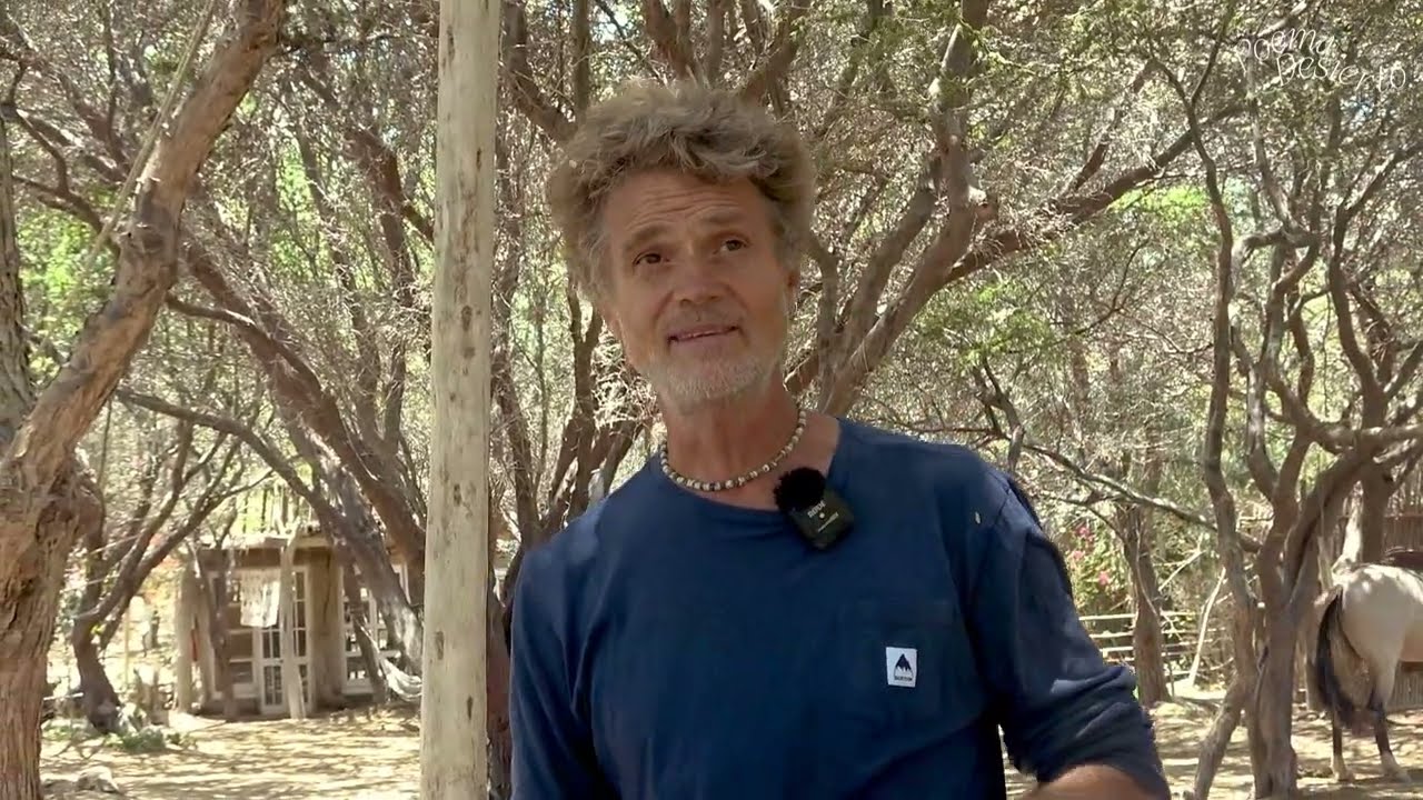 Alejandro Trevisan | Poema Desierto