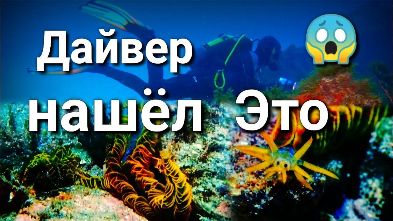 Пришелец или Чудо природы ? | Ты не поверешь