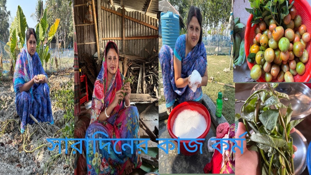 সারাদিন ধরে যে সব কাজ করলাম। 