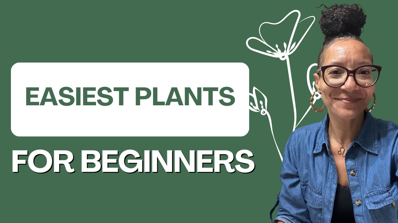 Easiest Plants For Beginners