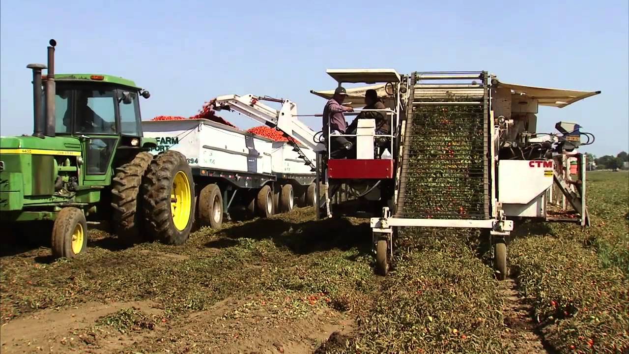 California Mooney Farm: America's Heartland