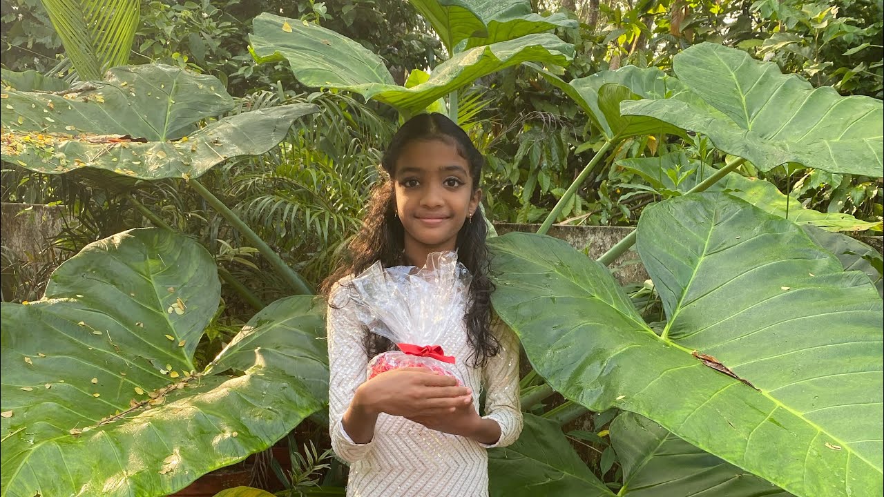 വീട്ടുമുറ്റത്ത് വളർന്ന നമ്മുടെ സ്വന്തം ചേമ്പ്/നമ്മുടെ വീട്ടുമുന്നിലെ ചേമ്പ് വിളവ്🌱🌱/