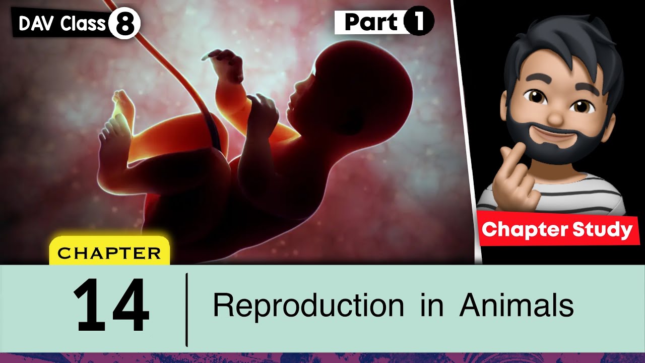 Chapter 14 | Reproduction in Animals | Class 8 DAV Science | Chapter Study (Part 1) 🔥🔥🔥