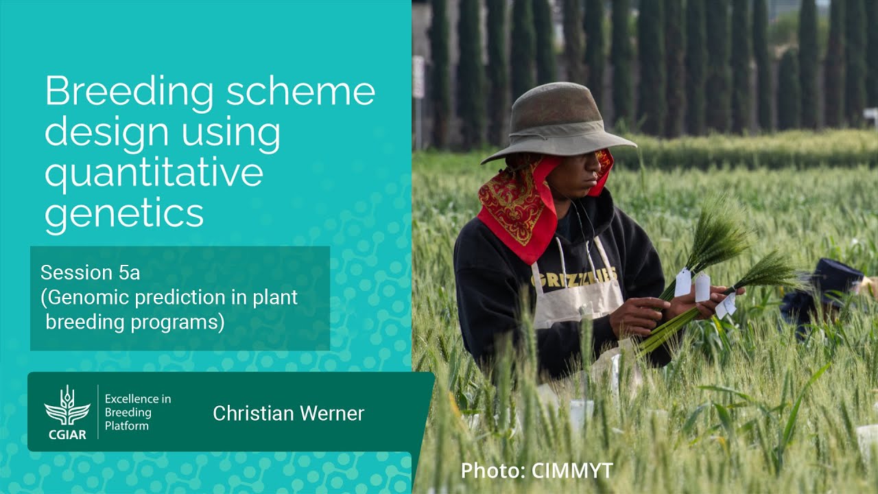 Session 5a (Genomic prediction in plant breeding programs)