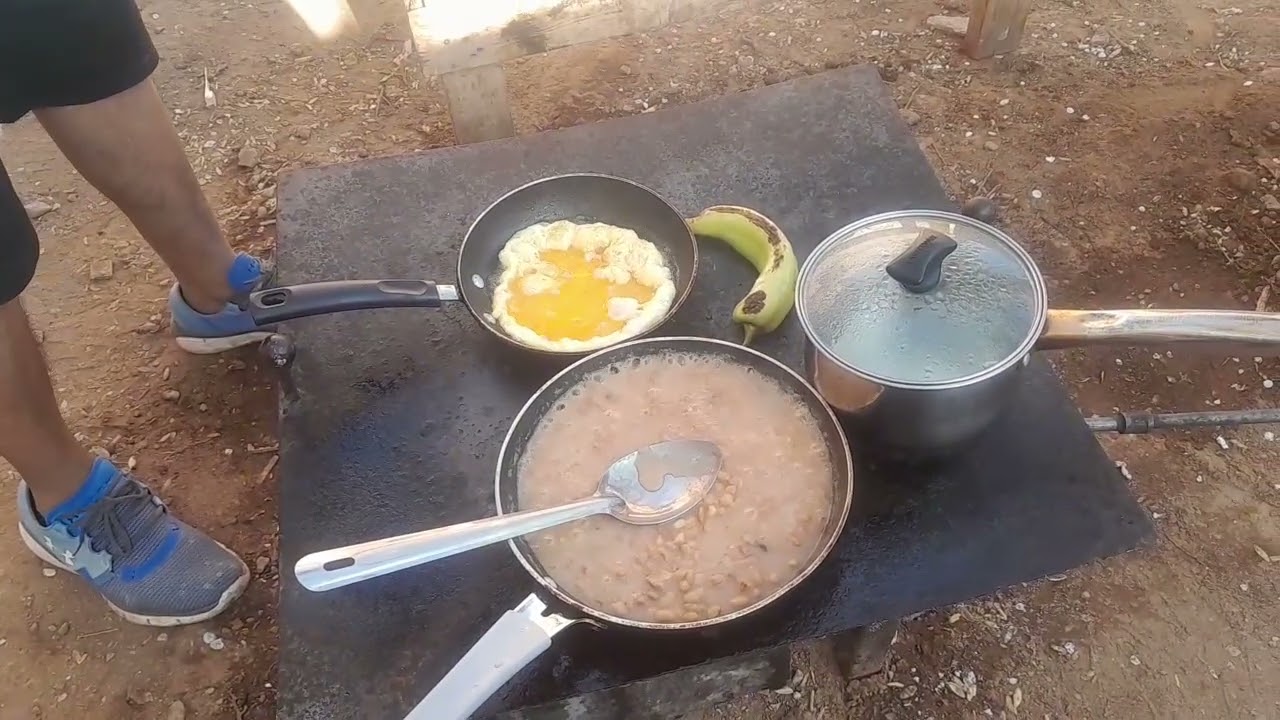 Un almuerzo al aire libre 