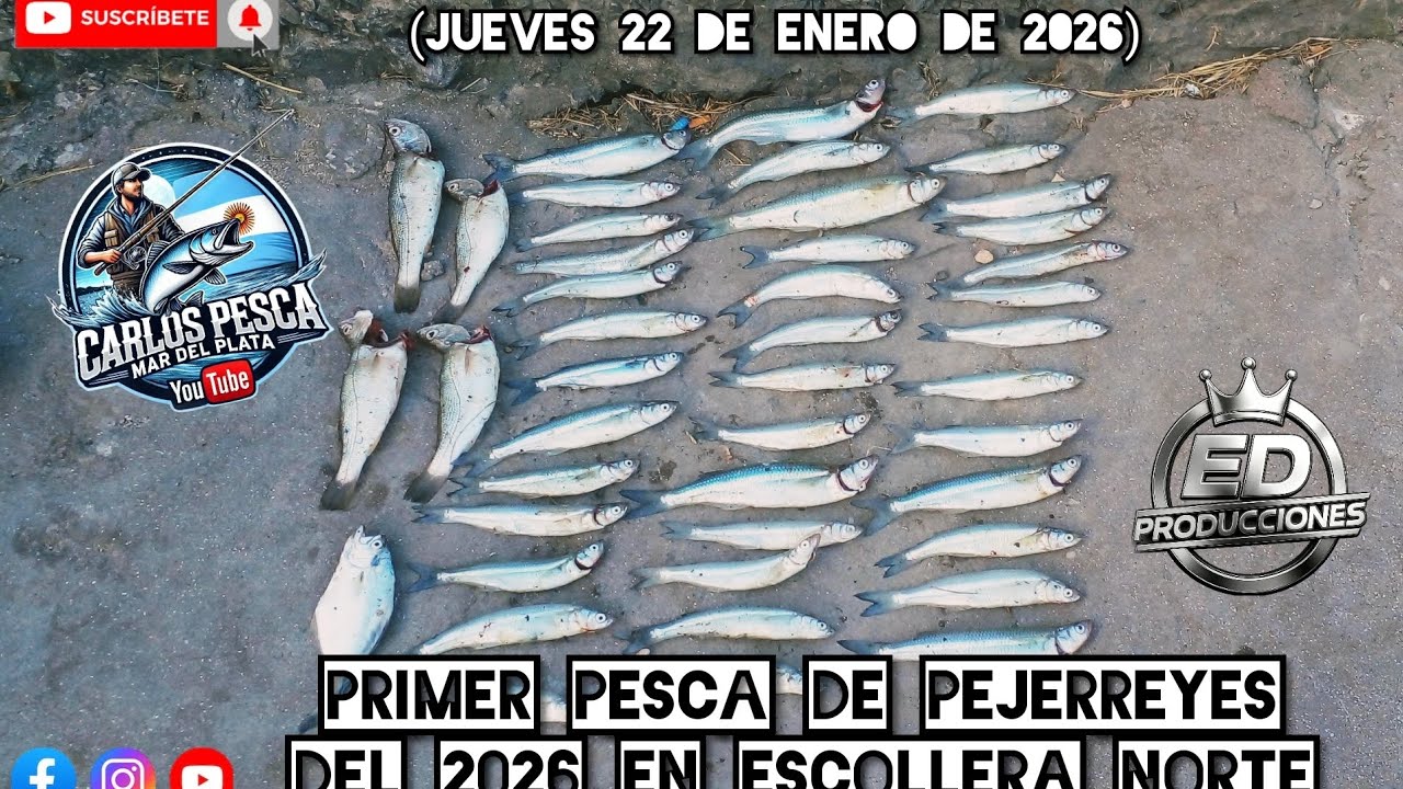 PRIMER PESCA DE PEJERREYES DEL 2026 EN ESCOLLERA NORTE🎣 