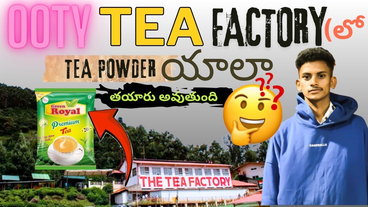 OOTY TEA FACTORY లో 🍵 TEA POWDER ఎలా తయారు అవుతుంది 🤔⁉️ || FULL VIDEO VLOG ||