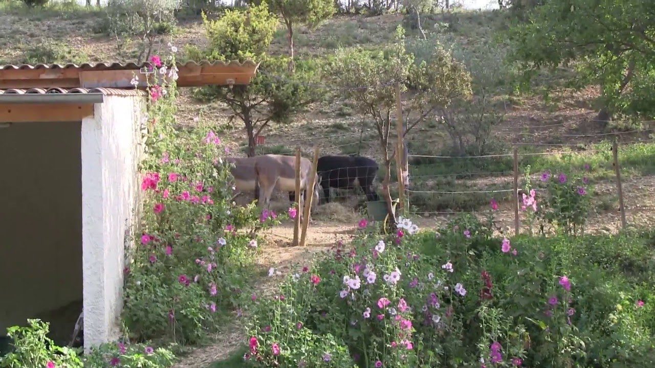 Francia- Provenza- Valensole - Sénanque- Roussillon- Moustiers St Marie- Canyon du Verdon HD