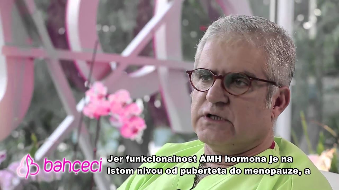 Šta je AMH?
