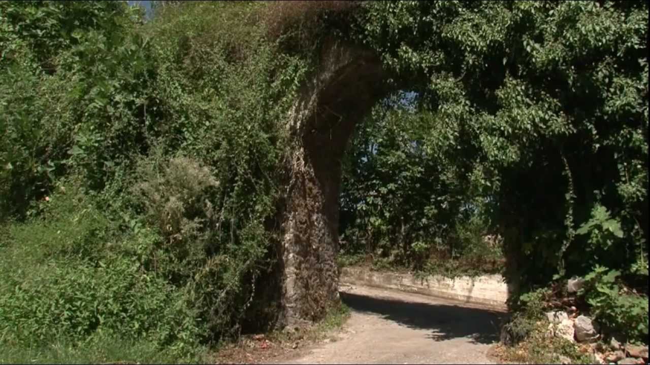 ΚΑΣΤΟΡΙ ΛΑΚΩΝΙΑΣ