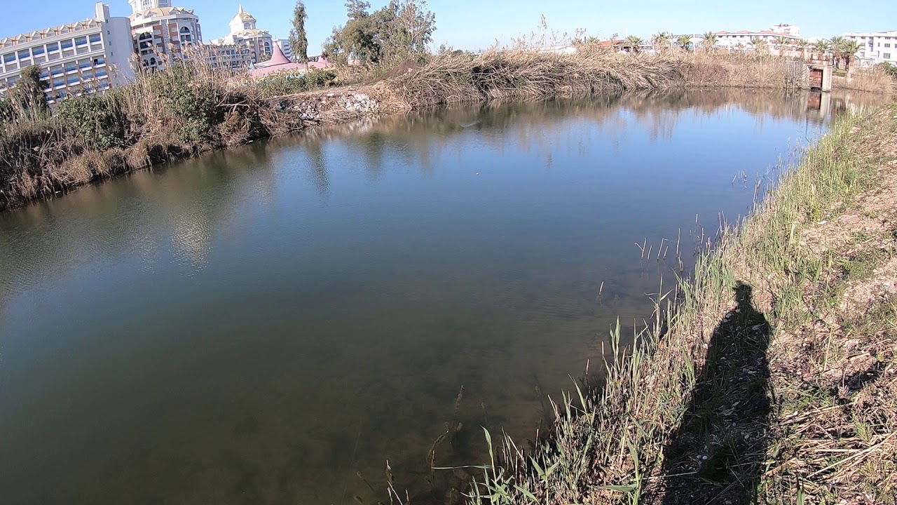 antalya levrek avı