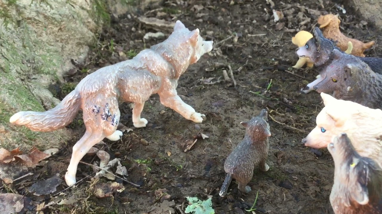 Moonlight (episode 1) shelter (toy wolf series)