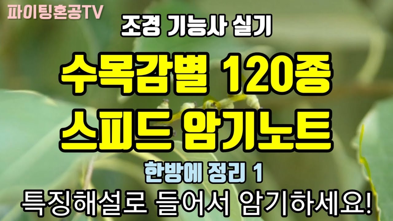 조경기능사 수목감별 한방에 정리 1 (해설포함)