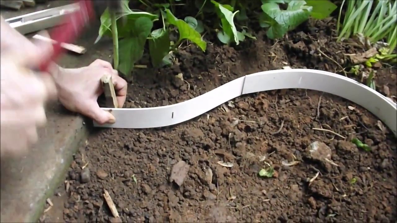 DIY Bird Bath, How to make a Backyard Butterfly, Frog, and Insect Concrete Shallow Pool