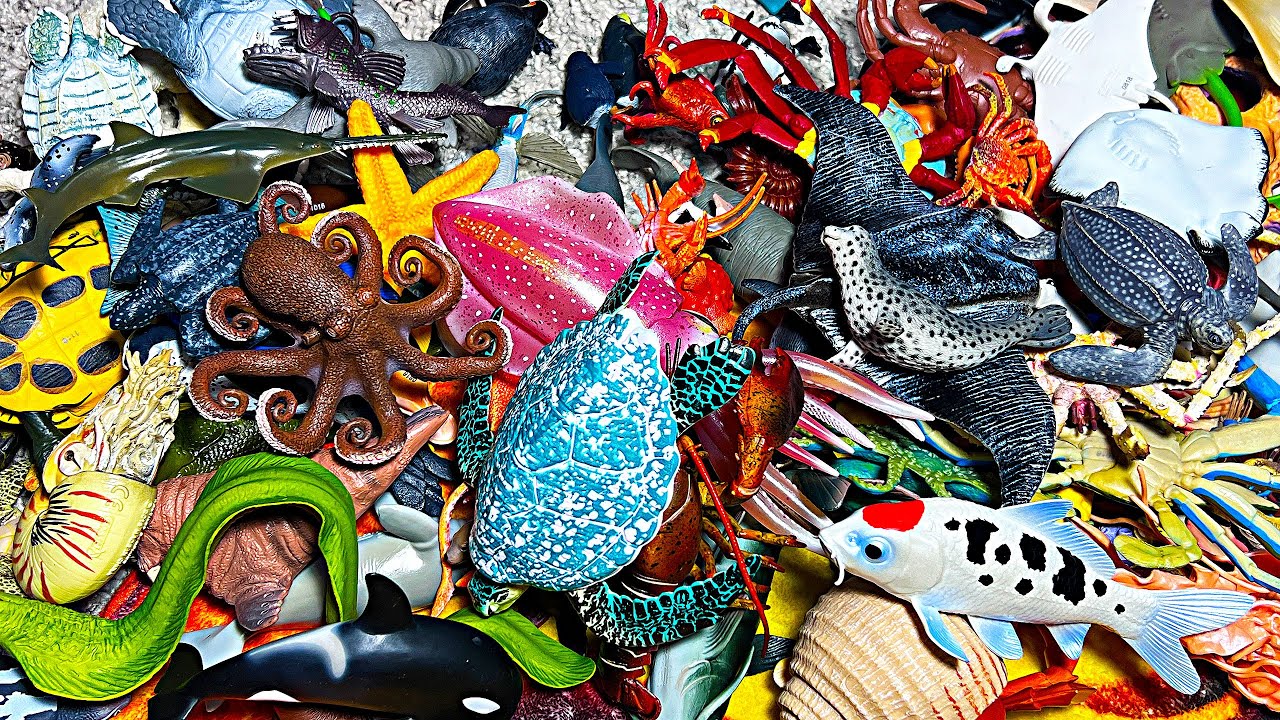Sea Animals - Turtle, Seal, Fish, Octopus, Crab, Squid, Manta Ray, Stingray, Moray Eel, King Crab