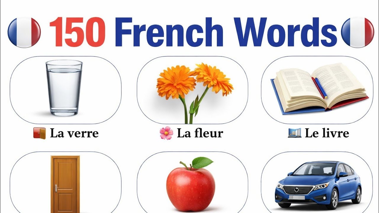 150 Daily Use French Words with English translation 🇫🇷 | French Vocabulary for Beginners