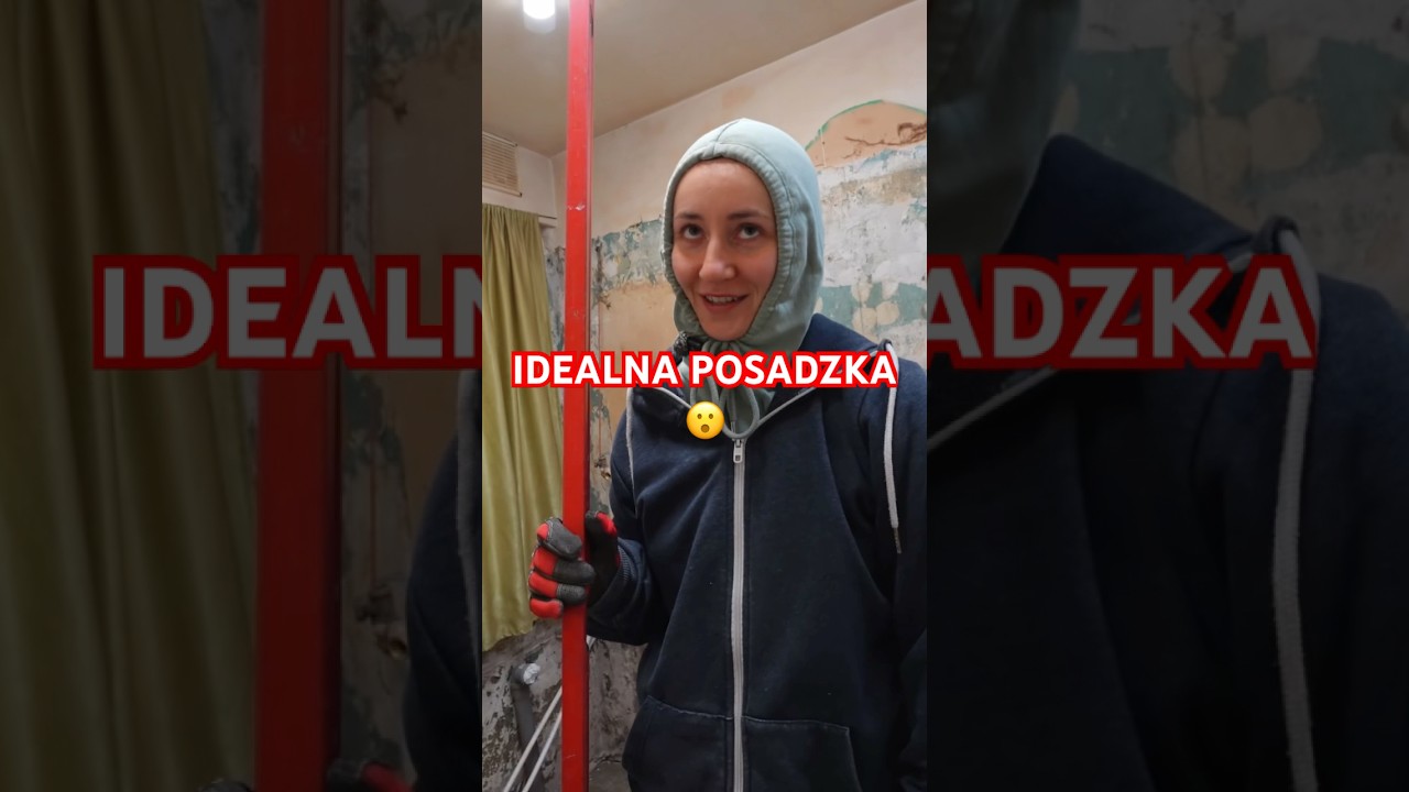 IDEALNA POSADZKA 😮 #hubertcupak #shorst #funnymoments