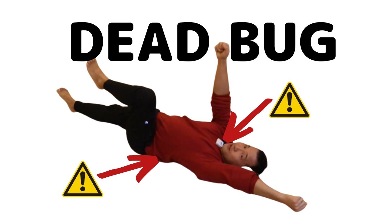 DEAD BUG:  Get strong core without hurting your back and neck