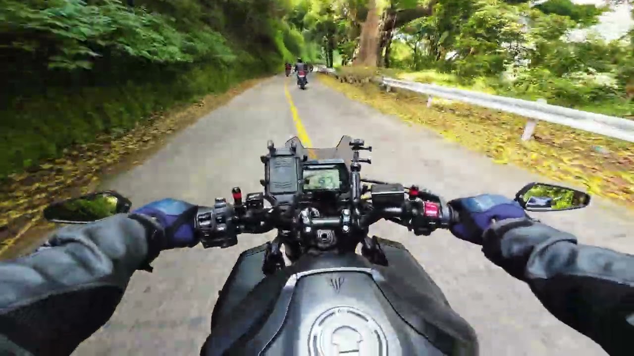 Twisties | MT10 | 2/2