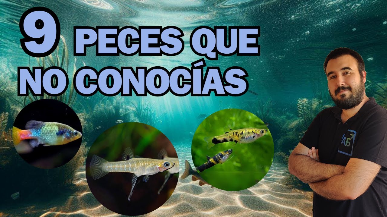 9 PECES que NO SABIAS que EXISTIAN!
