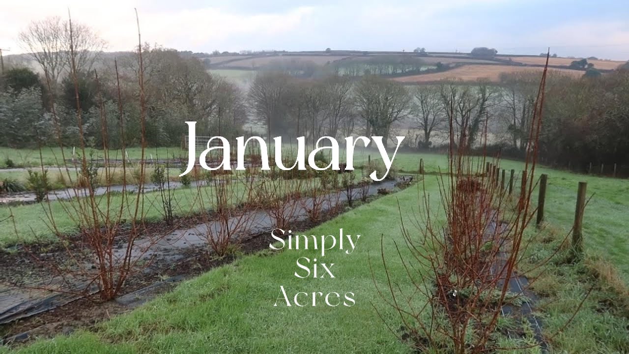January - Winter jobs in the cut flower garden