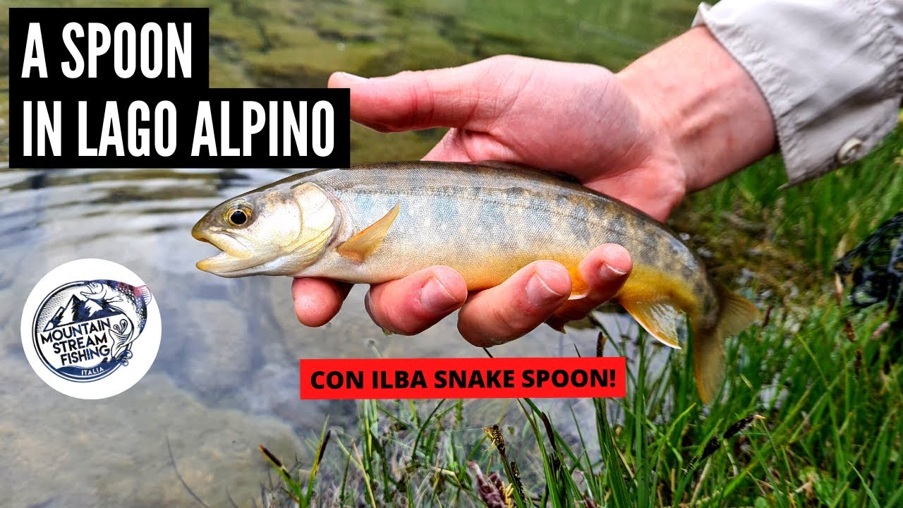 TROUT AREA IN LAGO ALPINO 😱 - Vanno fuori di matto!! Salmerini Alpini con ILBA SNAKE 😍
