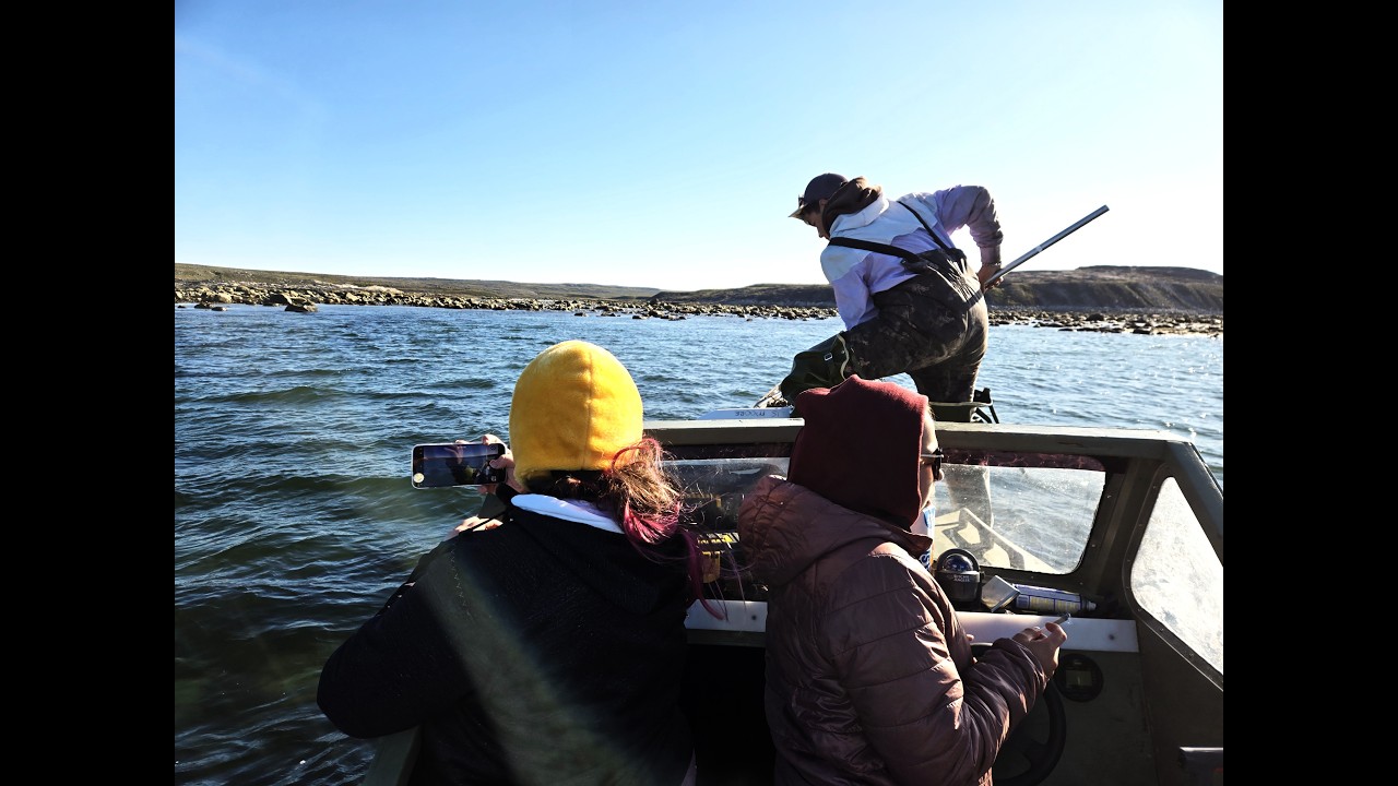 Tracking the summer routes of Arctic char in Kangirsuk rivers