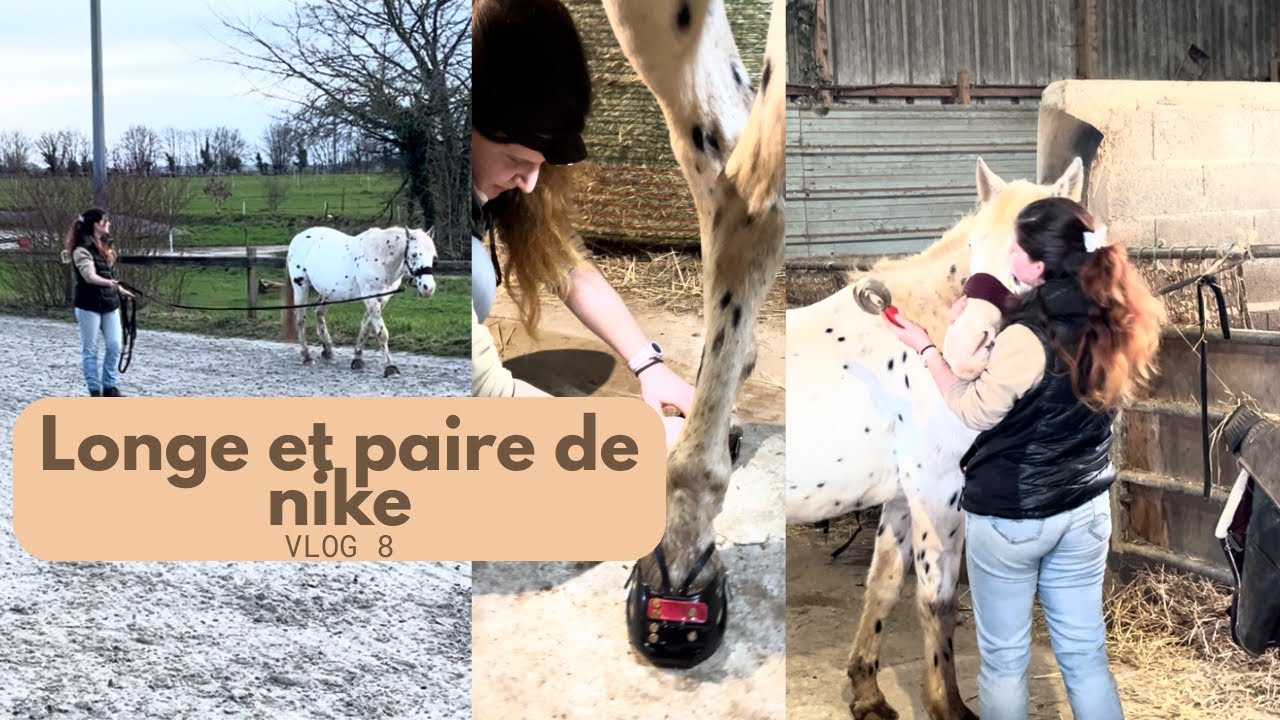 Nouvelle paire de NIKE - vlog 8