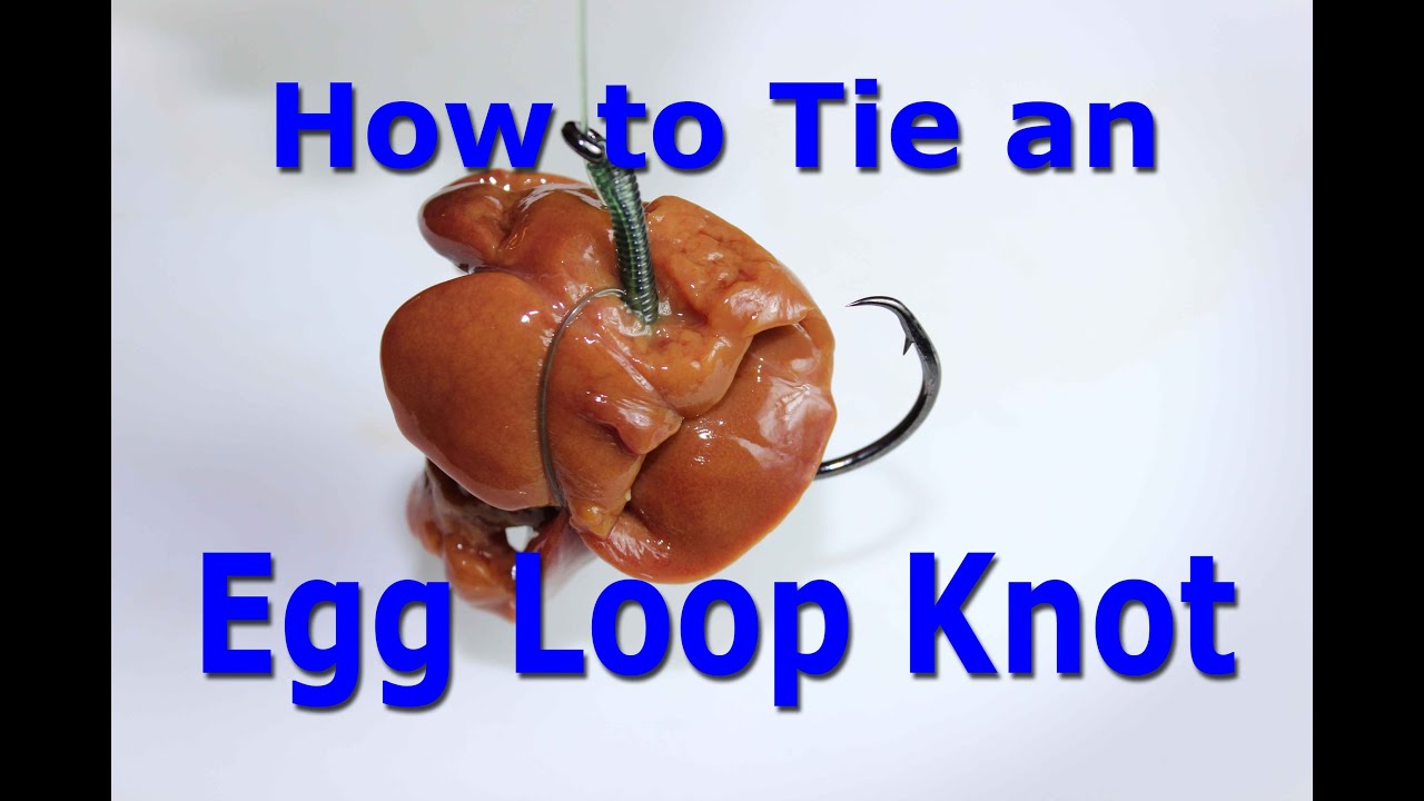 How to tie an egg loop knot - Keep chicken liver on the hook for catfish