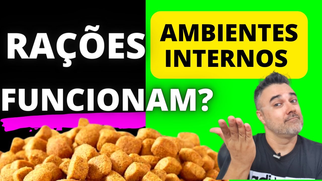 Ra&ccedil;&atilde;o AMBIENTES INTERNOS funcionam? | C&atilde;es e Gatos