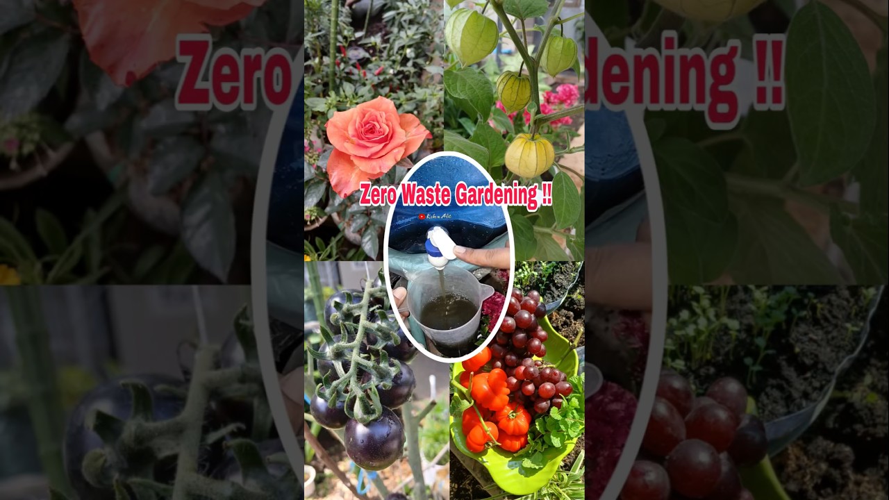 Your Trash is Actually Magic Fertilizer in Disguise!  