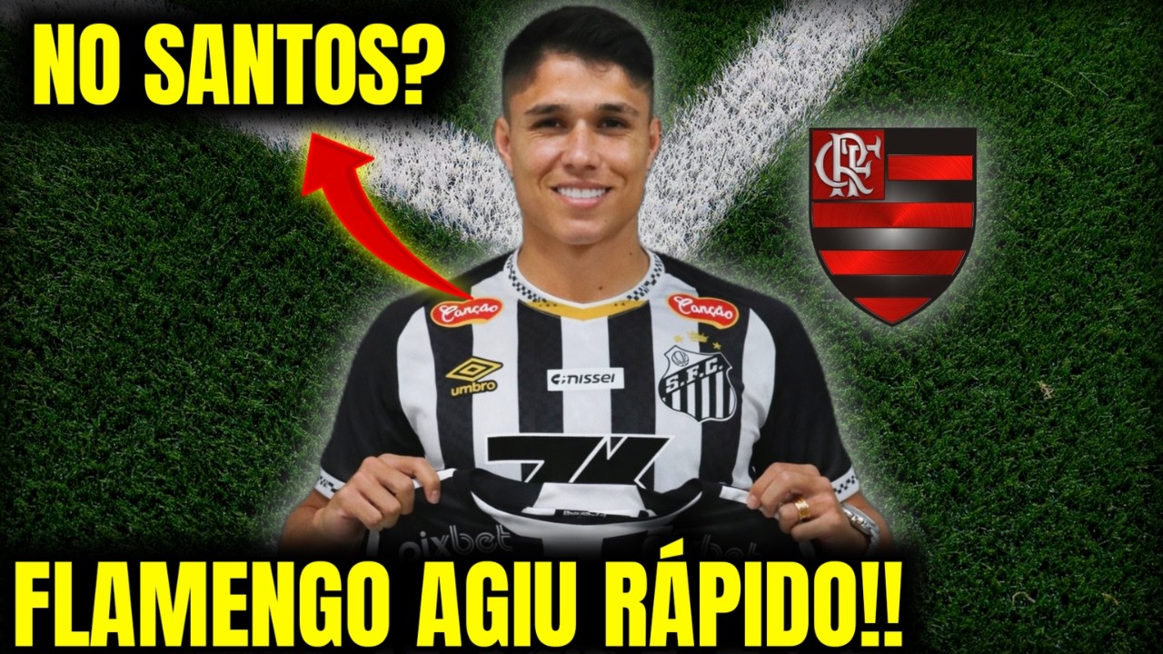 SANTOS QUER LUÍS ARAÚJO E FLAMENGO TOMA DECISÃO FINAL! noticias do flamengo
