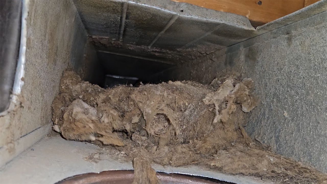 Air Duct Cleaning Inside View