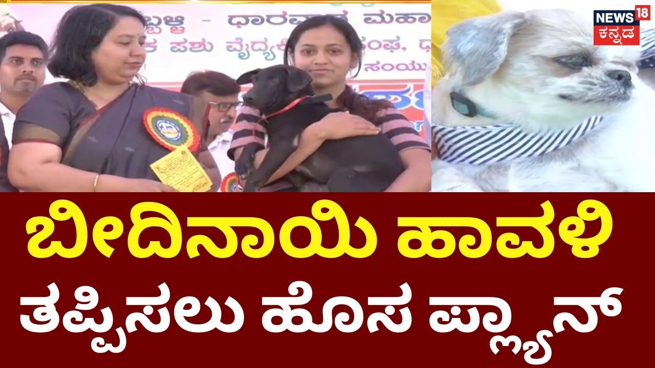 Adopt a Stray Dog and Get a Free Care Kit | ನಾಯಿಗಳನ್ನ ದತ್ತು ನೀಡುವ ಹೊಸ ಕಾರ್ಯಕ್ರಮ | Dharwad