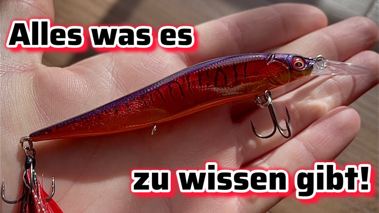 Angeln mit dem Twitchbait! - Alles was du wissen musst🦈