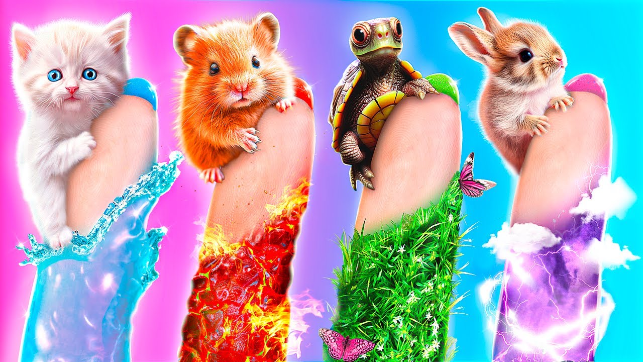 ฉันช่วยสัตว์เลี้ยงธาตุทั้ง 4!  การช่วยเหลือแสนสนุกในชีวิตจริง!