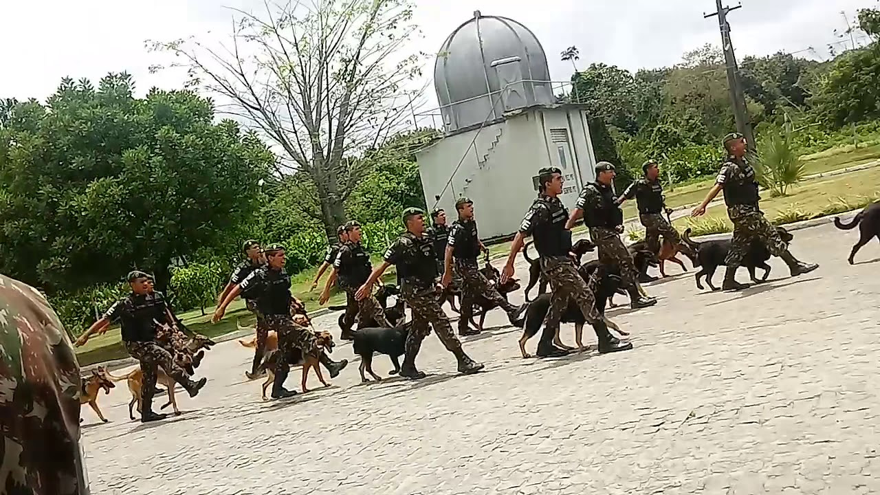 Formatura do Braçal do 4°bpe recife 2019